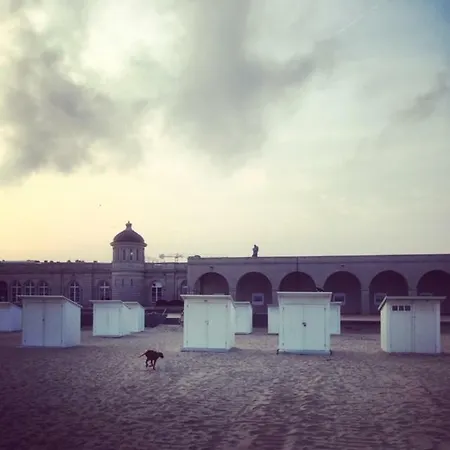 Musin * Ostende